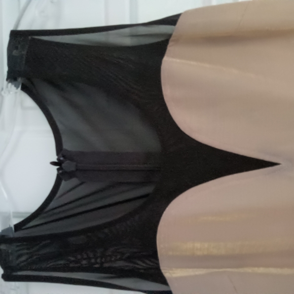 Striped Sheer Fabric - Picture 2 of 4